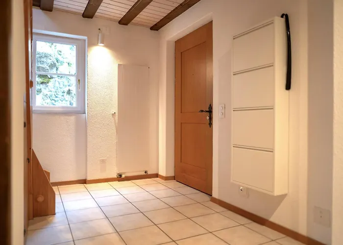 Lakefront Grand Appartement Ligerz