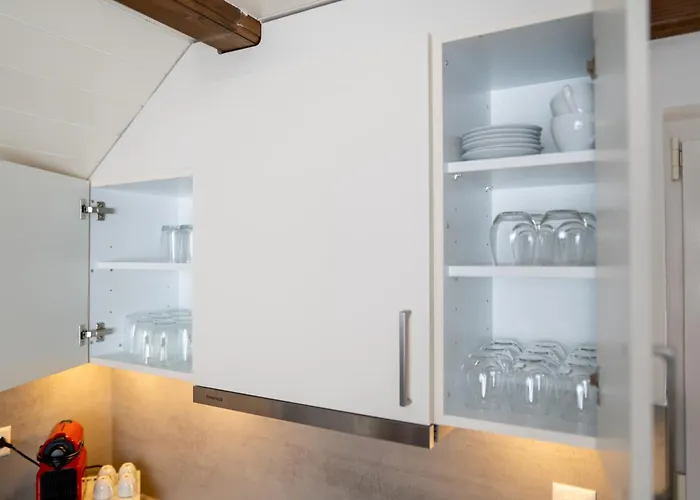 Lakefront Grand Appartement Ligerz