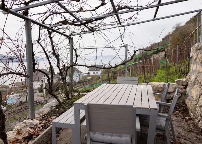 Lakefront Grand Ligerz