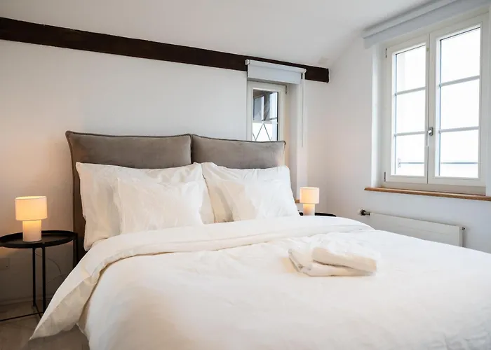 Lakefront Grand Apartamento Ligerz